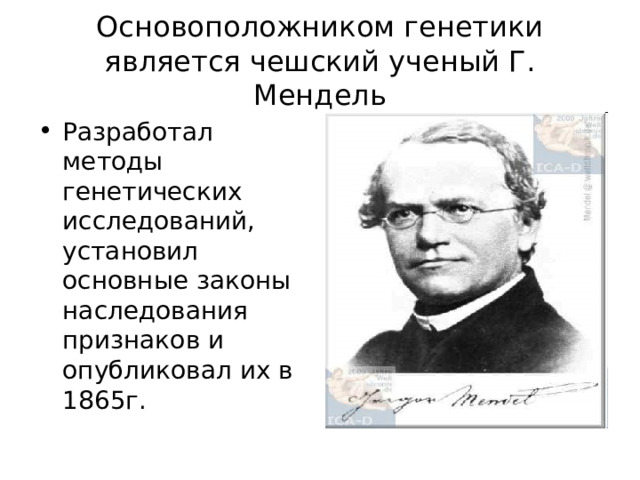 Основоположником генетики является чешский ученый Г. Мендель Разработал методы генетических исследований, установил основные законы наследования признаков и опубликовал их в 1865г. 