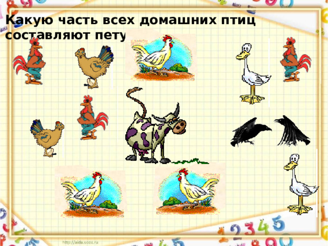 Какую часть всех домашних птиц составляют петухи?  