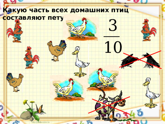 Какую часть всех домашних птиц составляют петухи?  