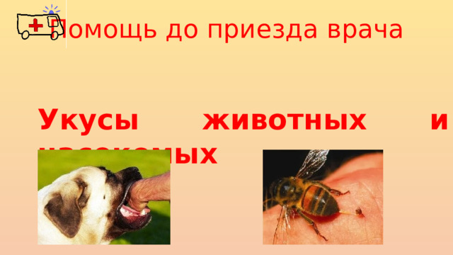 Помощь до приезда врача Укусы животных и насекомых 