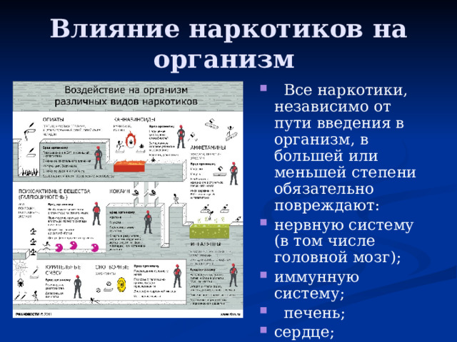 Влияние наркотиков на организм   Все наркотики, независимо от пути введения в организм, в большей или меньшей степени обязательно повреждают: нервную систему (в том числе головной мозг); иммунную систему;   печень; сердце; легкие.   Все наркотики, независимо от пути введения в организм, в большей или меньшей степени обязательно повреждают: нервную систему (в том числе головной мозг); иммунную систему;   печень; сердце; легкие. 