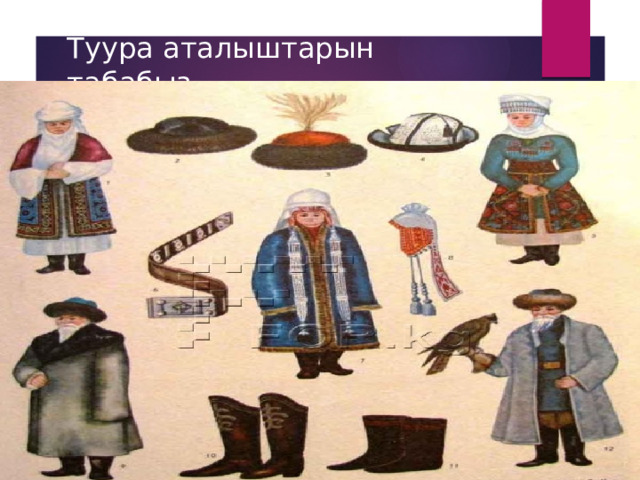 Туура аталыштарын табабыз. 