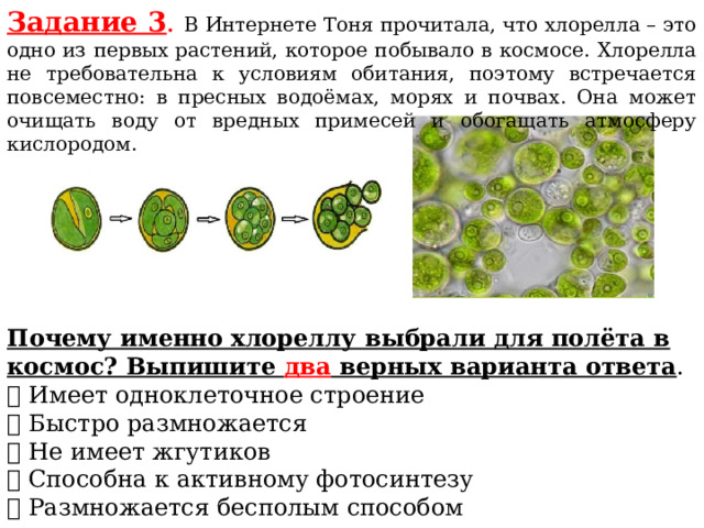 Хлорелла группа растений