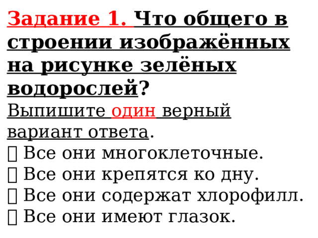 Что общего в строении изображенных на рисунке зеленых водорослей