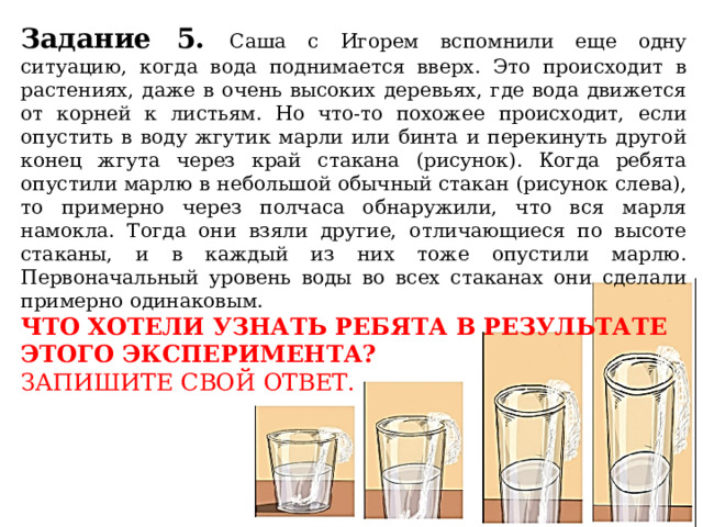 Какую задачу ставил валерий помещая растение и стакан с водным раствором йода в темный шкаф