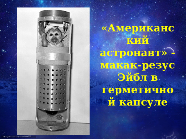 «Американский астронавт» - макак-резус Эйбл в герметичной капсуле 