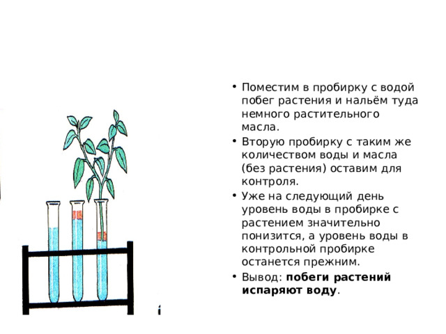 Какую задачу ставил валерий помещая растение и стакан с водным раствором йода в темный шкаф