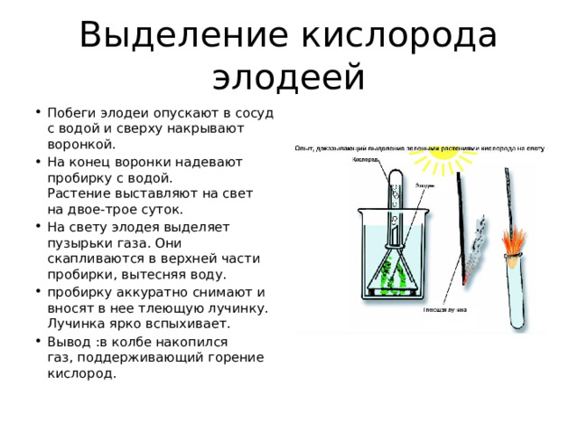 Для ускорения процесса фильтрования скошенный конец воронки следует прижать к стенке