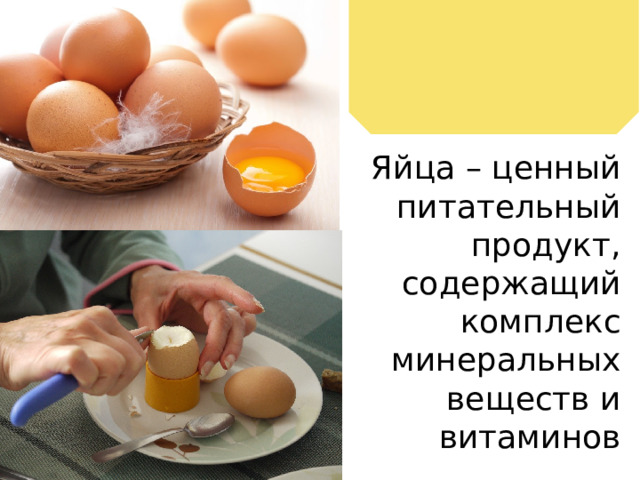 Яйца – ценный питательный продукт, содержащий комплекс минеральных веществ и витаминов 