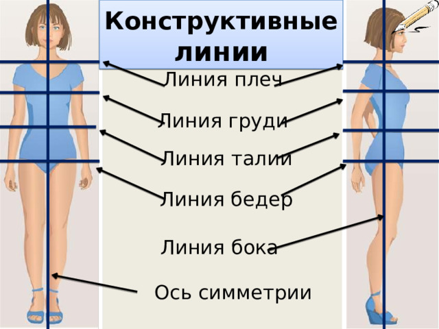 Линия талии. Конструктивные линии. Конструктивные линии фигуры человека. Линия бедер.