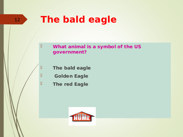 The bald eagle   What animal is a symbol of the US government?  The bald eagle  Golden Eagle The red Eagle 