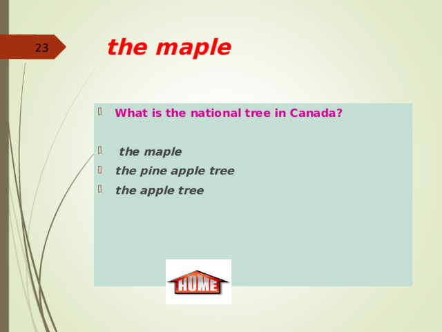  the maple  What is the national tree in Canada?    the maple the pine apple tree the apple tree 