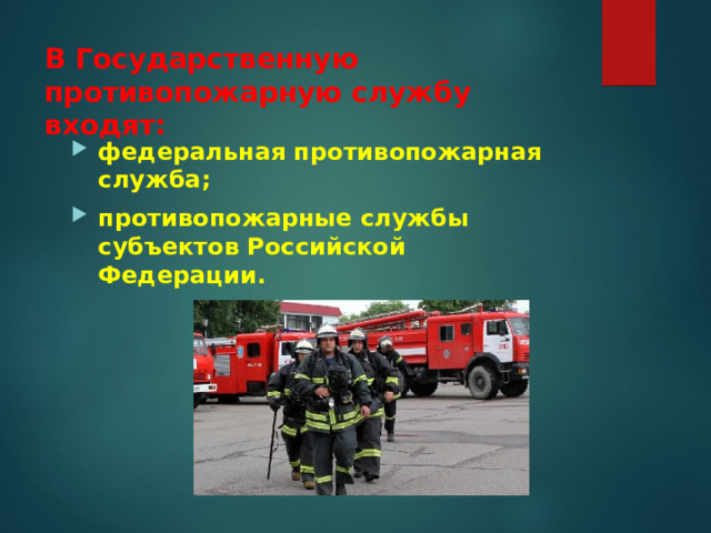 В Государственную противопожарную службу входят: федеральная противопожарная служба; противопожарные службы субъектов Российской Федерации. 