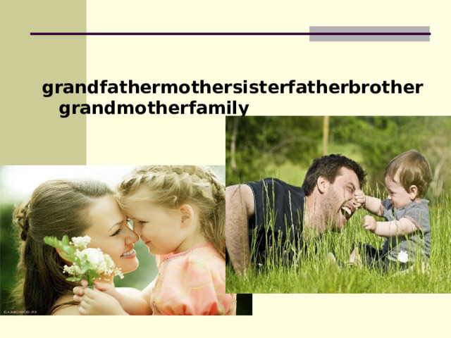 grandfathermothersisterfatherbrothergrandmotherfamily 