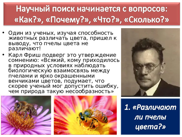 Один из ученых, изучая способность животных различать цвета, пришел к выводу, что пчелы цвета не различают! Карл Фриш подверг это утверждение сомнению: «Всякий, кому приходилось в природных условиях наблюдать биологическую взаимосвязь между пчелами и ярко окрашенными венчиками цветов, подумает, что скорее ученый мог допустить ошибку, чем природа такую несообразность» 