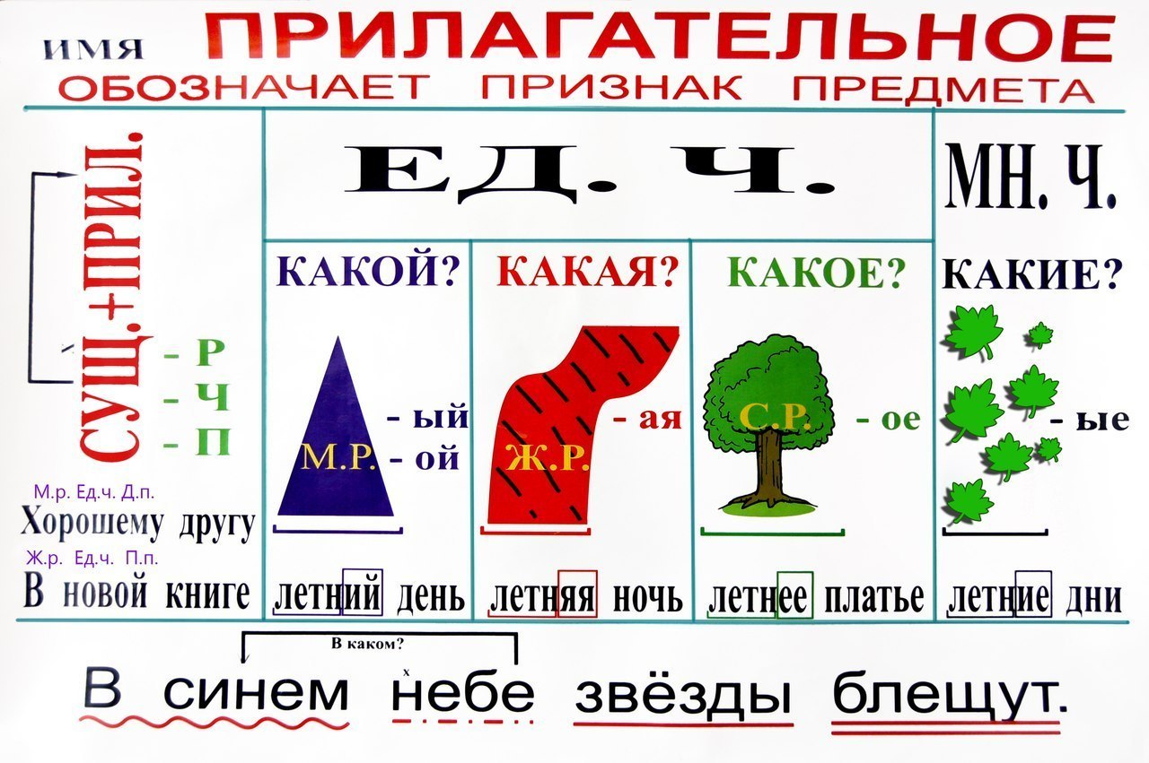 Имя прилагательное в схемах и таблицах