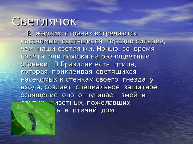  В жарких странах встречаются насекомые, светящиеся гораздо сильнее, чем наши светлячки. Ночью, во время полёта они похожи на разноцветные огоньки. В Бразилии есть птица, которая, приклеивая светящихся насекомых к стенкам своего гнезда у входа, создает специальное защитное освящение : оно отпугивает змей и других животных, пожелавших проникнуть в птичий дом. 