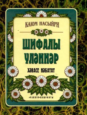 Проект каюм насыри