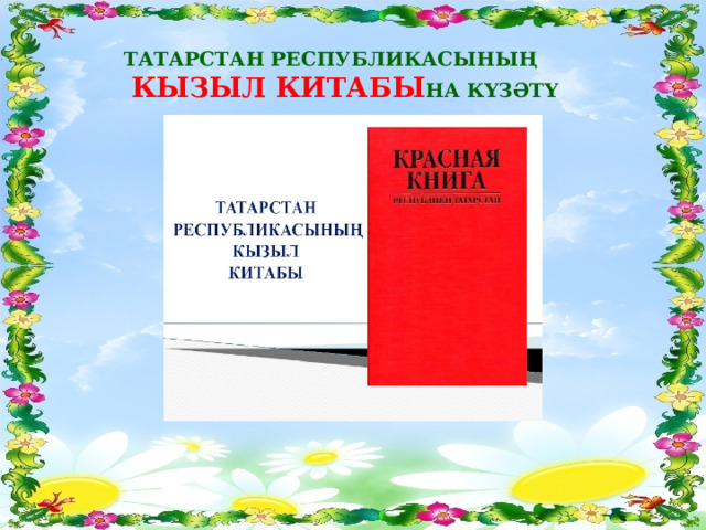 ТАТАРСТАН РЕСПУБЛИКАСЫНЫҢ КЫЗЫЛ КИТАБЫ НА КҮЗӘТҮ 