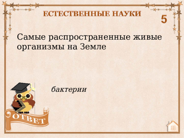 Самые распространенные живые организмы на Земле бактерии  
