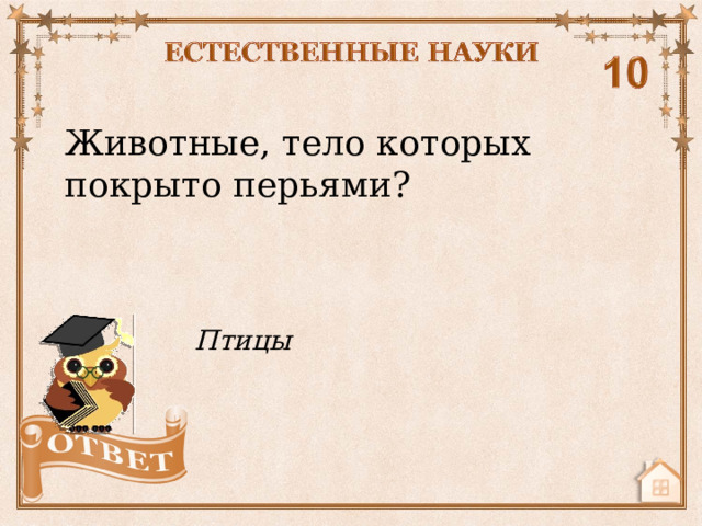 Животные, тело которых покрыто перьями? Птицы  