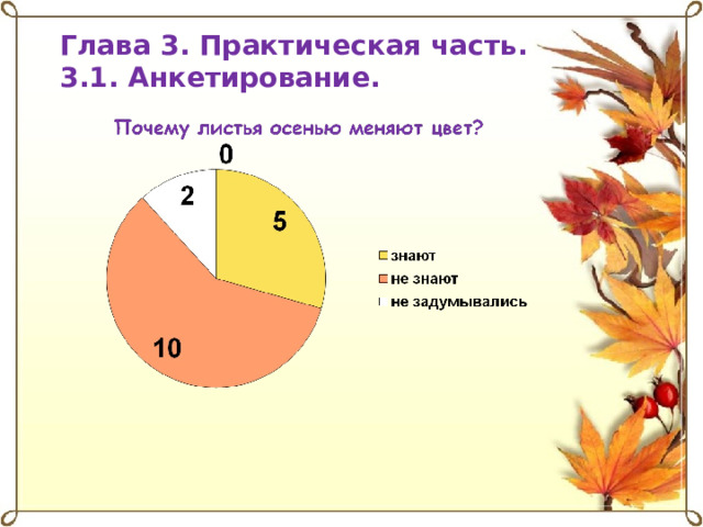 Глава 3. Практическая часть. 3.1. Анкетирование. 