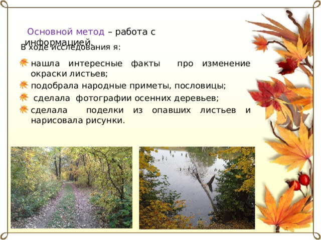  Основной метод – работа с информацией.  В ходе исследования я: нашла интересные факты про изменение окраски листьев; подобрала народные приметы, пословицы;  сделала фотографии осенних деревьев; сделала поделки из опавших листьев и нарисовала рисунки. 