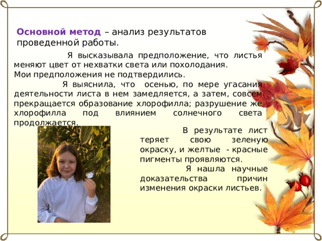 Основной метод – анализ результатов проведенной работы.  Я высказывала предположение, что листья меняют цвет от нехватки света или похолодания. Мои предположения не подтвердились.  Я выяснила, что осенью, по мере угасания деятельности листа в нем замедляется, а затем, совсем прекращается образование хлорофилла; разрушение же хлорофилла под влиянием солнечного света продолжается.  В результате лист теряет свою зеленую окраску, и желтые - красные пигменты проявляются.  Я нашла научные доказательства причин изменения окраски листьев. 
