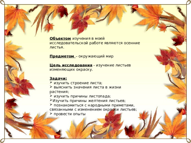 Объектом   изучения в моей исследовательской работе являются осенние листья.  Предметом  – окружающий мир Цель исследования  - изучение листьев изменяющих окраску. Задачи:  изучить строение листа;  выяснить значения листа в жизни растения;  изучить причины листопада; Изучить причины желтения листьев;  познакомиться с народными приметами, связанными с изменением окраски листьев;  провести опыты 