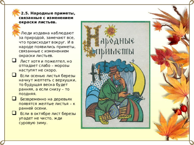 2.5. Народные приметы, связанные с изменением окраски листьев. Люди издавна наблюдают за природой, замечают все, что происходит вокруг. И в народе появились приметы, связанные с изменением окраски листьев.  Лист хотя и пожелтел, но отпадает слабо – морозы наступят не скоро.  Если осенью листья березы начнут желтеть с верхушки, то будущая весна будет ранняя, а если снизу – то поздняя.  Безвременно на деревьях появятся желтые листья – к ранней осени.  Если в октябре лист березы упадет не чисто, жди суровую зиму. 