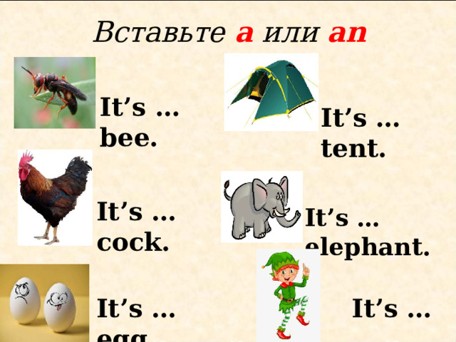 Вставьте a  или an It’s …bee. It’s …tent. It’s …cock. It’s …elephant.  It’s … elf. It’s … egg. 