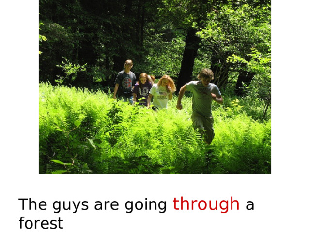 The guys are going through a forest 
