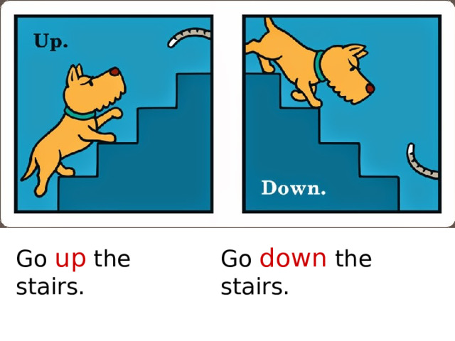 Go up the stairs. Go down the stairs. 