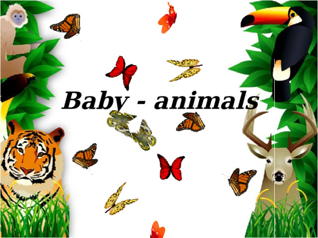 Baby - animals 