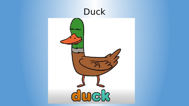 Duck 