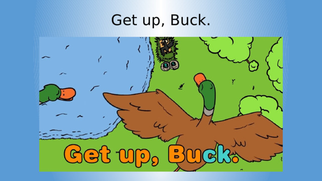 Get up, Buck. 