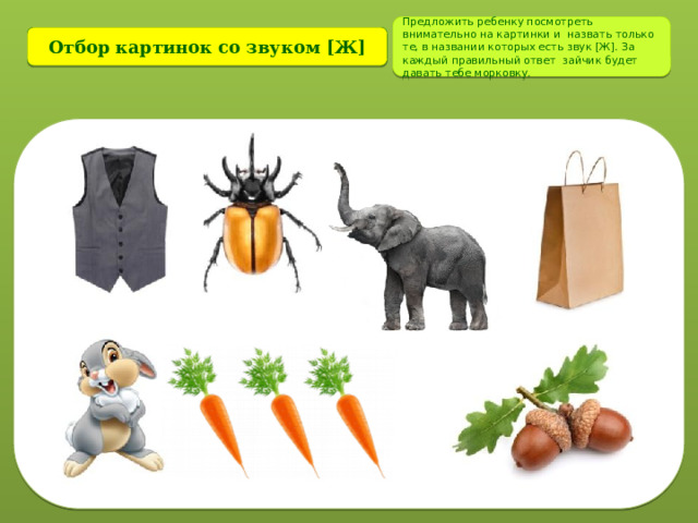 Предложить ребенку посмотреть внимательно на картинки и назвать только те, в названии которых есть звук [Ж]. За каждый правильный ответ зайчик будет давать тебе морковку. Отбор картинок со звуком [Ж]  