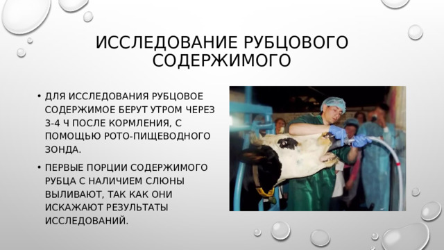 Исследование рубцового содержимого Для исследования рубцовое содержимое берут утром через 3-4 ч после кормления, с помощью рото-пищеводного зонда. Первые порции содержимого рубца с наличием слюны выливают, так как они искажают результаты исследований. 