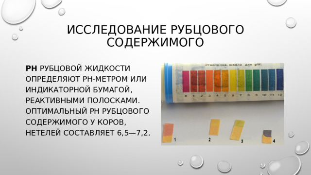 Исследование рубцового содержимого рН рубцовой жидкости опреде­ляют рН-метром или индикаторной бумагой, реактивными полосками. Оптимальный рН рубцового содержимого у коров, нетелей составляет 6,5—7,2. 