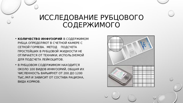 Исследование рубцового содержимого Количество инфузорий в содержимом рубца опре­деляют в счетной камере с сеткой Горяева. Метод подсчета простейших в рубцовой жидкости не отличается от техники, используемой для подсчета лейкоцитов. В рубцовом содержимом находится около 100 видов инфу­зорий, общая их численность варьирует от 200 до 1200 тыс./мл и зависит от состава рациона, вида кормов. 