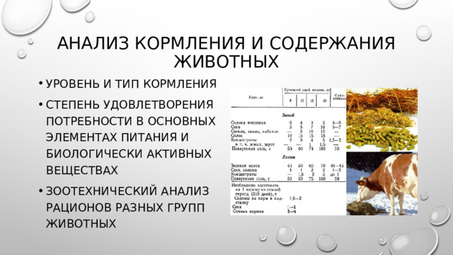 Анализ кормления и содержания животных уровень и тип кормления степень удовлетворения потребности в основных элементах питания и биологически активных веществах зоотехнический анализ рационов разных групп животных 