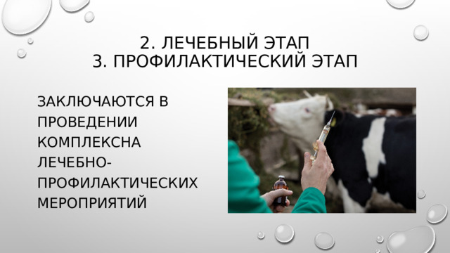 2. Лечебный этап  3. Профилактический этап заключаются в проведении комплексна лечебно-профилактических мероприятий 