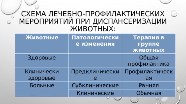 Схема лечебно-профилактических мероприятий при диспансеризации животных: Животные Патологические изменения Здоровые Терапия в группе животных Клинически здоровые Предклинические Общая профилактика Больные Профилактическая Субклинические Клинические Ранняя Обычная 