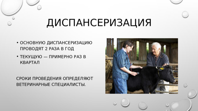 Диспансеризация Основную диспансеризацию проводят 2 раза в год текущую — примерно раз в квартал Сроки проведения определяют ветеринарные специалисты. 