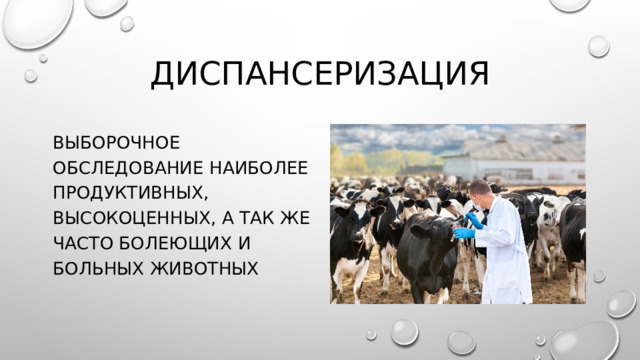 Диспансеризация Выборочное обследование наиболее продуктивных, высокоценных, а так же часто болеющих и больных животных 