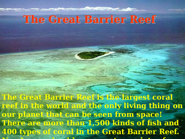 The Great Barrier Reef The Great Barrier Reef is the largest coral reef in the world and the only living thing on our planet that can be seen from space! There are more than 1,500 kinds of fish and 400 types of coral in the Great Barrier Reef. No place on land has a greater variety of sea life! 