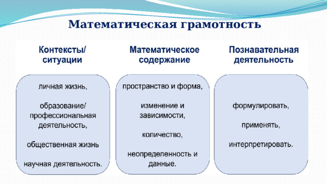 Математическая грамотность 