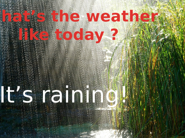  What’s the weather  like today ? It’s raining! 