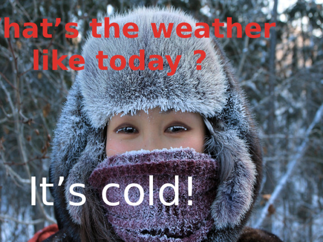  What’s the weather  like today ? It’s cold! 