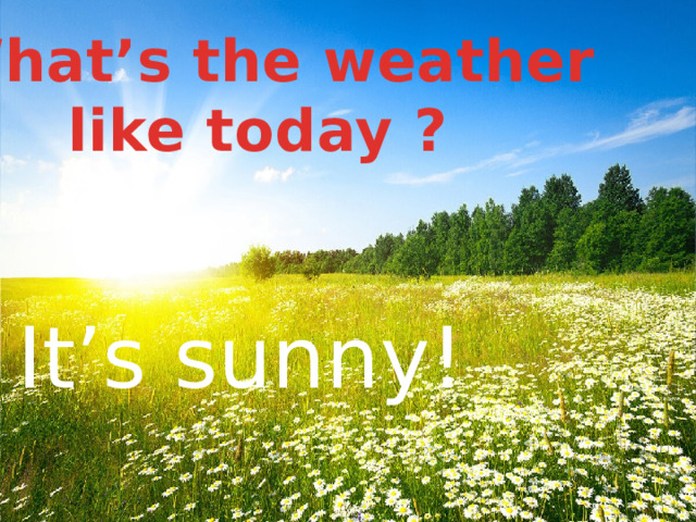 What’s the weather  like today ? It’s sunny! 